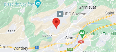 Localisation et adresse sur Google maps